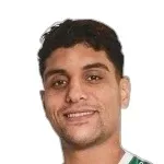 محمود شبانه