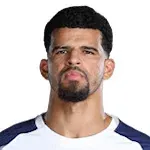 دومينيك سولانكي