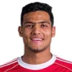 مصطفى الأش