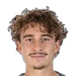 كامييل فان دي بيرري