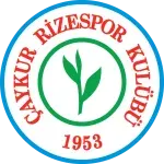 ريزا سبور