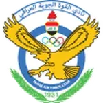 القوة الجوية